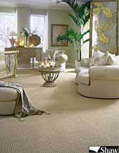 Shaw Wall-to-Wall Carpet